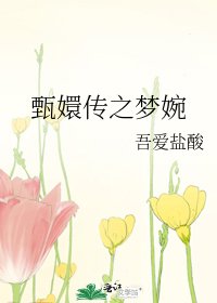 《甄嬛传之梦婉》