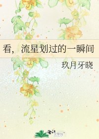 《看,流星划过的一瞬间》