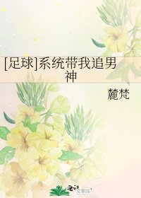 [足球]系统带我追男神