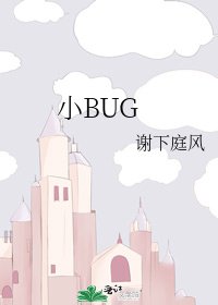 《小BUG》