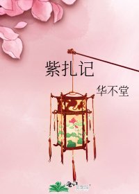 《紫扎记》