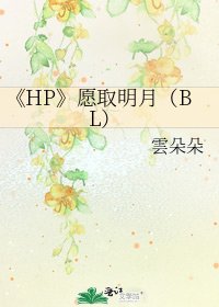 《HP》