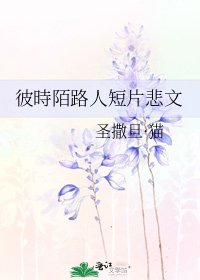 《彼時陌路人短片悲文》