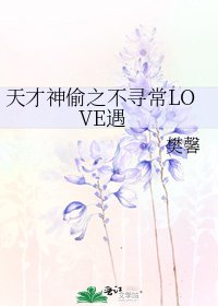 《天才神偷之不尋常LOVE遇》