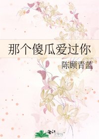 那个傻瓜爱过你