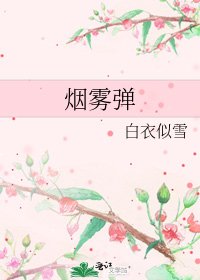 《煙霧彈》
