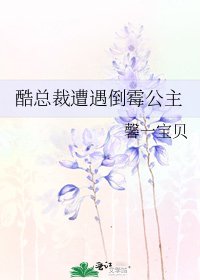 酷總裁遭遇倒黴公主