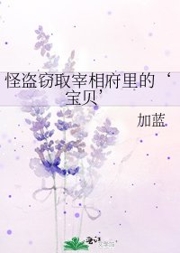 《怪盜竊取宰相府裡的‘寶貝’》