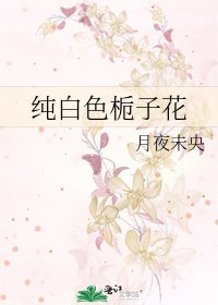 纯白色栀子花