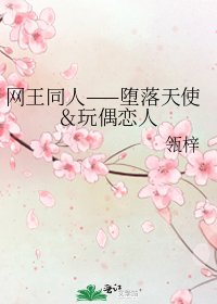 网王同人——堕落天使&玩偶恋人