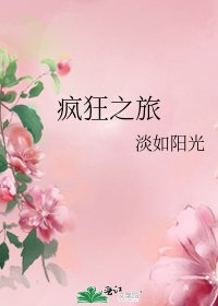 《瘋狂之旅》