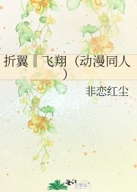 折翼‖飛翔（動漫同人）