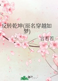 《反转乾坤(原名穿越如梦)》