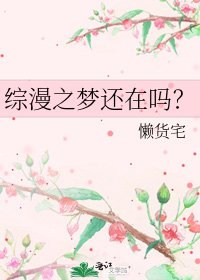 《綜漫之夢還在嗎?》