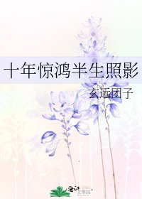 《十年驚鴻半生照影》