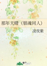《那年天晴(銀魂同人)》