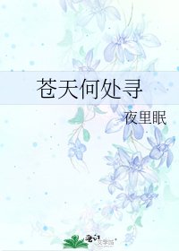 《苍天何处寻》