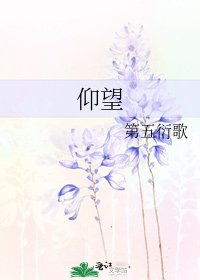 《仰望》