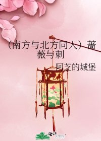 (南方与北方同人)蔷薇与刺