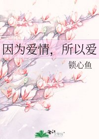 《因为爱情,所以爱》