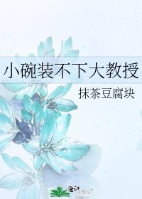 《小碗装不下大教授》