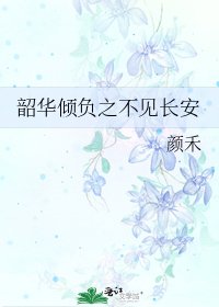 《韶华倾负之不见长安》