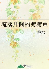 《流落凡间的渡渡鱼》