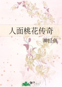 《人面桃花传奇》