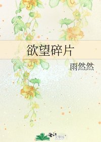 《欲望碎片》