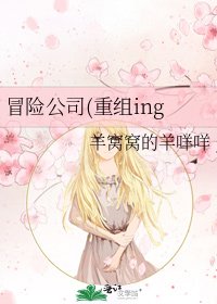 《冒险公司(重组ing》