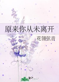 原来你从未离开