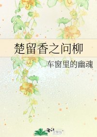 《楚留响之問柳》