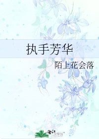 《执手芳华》