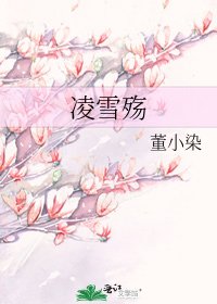 凌雪殇