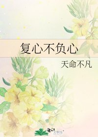 复心不负心