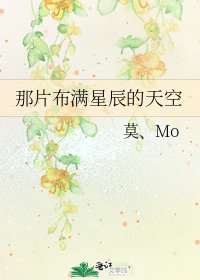 《那片布满星辰的天空》