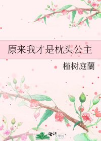 《原来我才是枕头公主》
