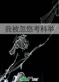 《我被忽悠考科举》