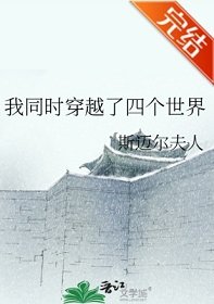《(綜漫同人)我同時穿越了四個世界》