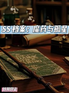 SS档案:魔药与孤星