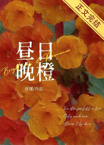 昼碰晚橙