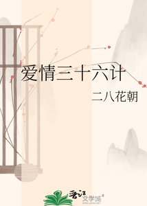 蔼情三十六计