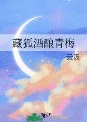 《(排球少年同人)藏狐酒釀青梅》