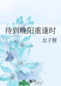 《待到晚陽重逢時》