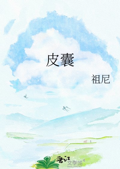 《皮囊》