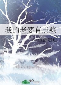 《我的老婆有点憨》