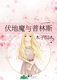 《伏地魔与普林斯》
