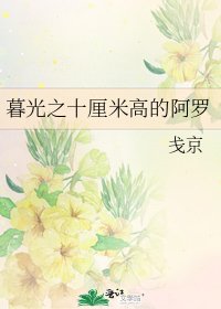 《暮光之十釐米高的阿羅》