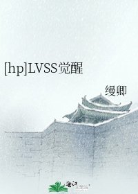 [hp]LVSS觉醒