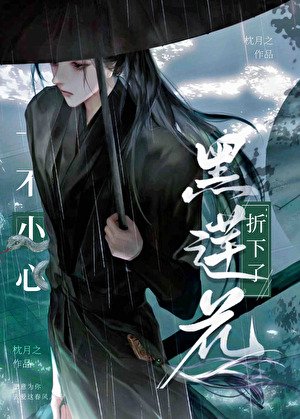 《一不小心折下了黑蓮花》